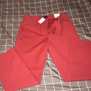 White House Black Market size 6